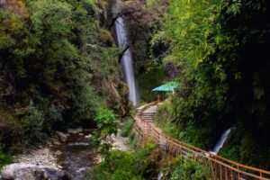Tiger Fall Chakrata 3-1689745879634